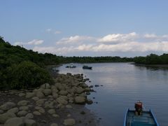 -东寨港红树林旅游区