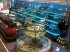-强记海鲜·大排档(蛇口新街店)