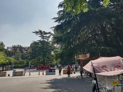 -西安市长乐公园
