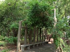 -共青国家森林公园-售票处