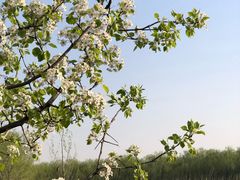 -东郊湿地公园