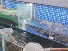 -四道口水产市场