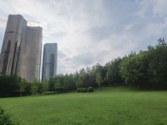 -大望京公园