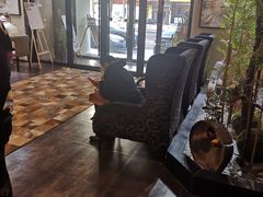 -盤古Spa泰式古法抓龙筋(鲁迅路店)