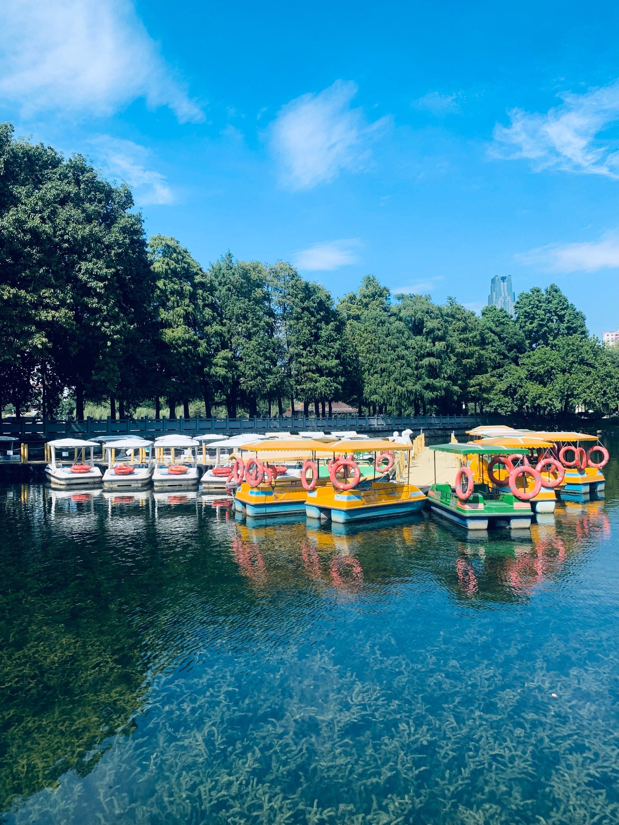 n
公园可以游船,有2人脚踏船和电动船,
可以和家人,朋友一起