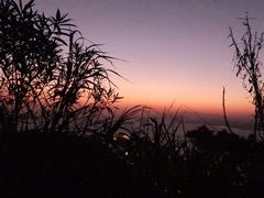 -千岛湖天屿景区
