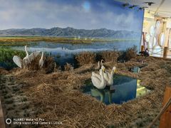 -延庆地质公园博物馆