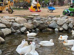 -HERRE·FARM 赫尔露营农场·团建聚会包场