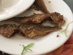 -康陵正德春饼宴26号