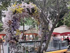 -二荆条·蜀鲜汇城市森林火锅
