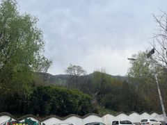 -盛世牡丹苑生态文化旅游区