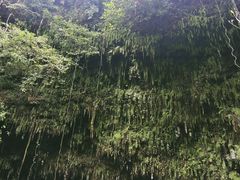 -海口火山口国家地质公园