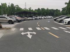 -佘山世茂洲际酒店·停车场
