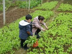 -刘姐啤酒鱼民族演艺餐厅(西街总店)