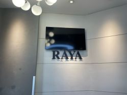 -RAYA韩国造型