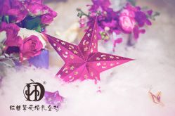 点击看大图 -上海金桥红枫万豪酒店·宴会厅