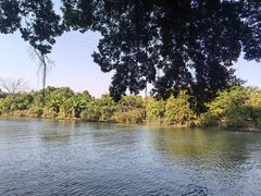-小洲村