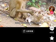 -昆明动物园