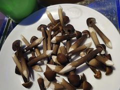 -千岛蚝高压锅生蚝·人参火锅(白云万达店)