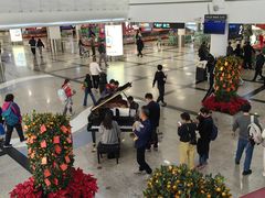 -厦门高崎国际机场-T3航站楼