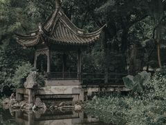 -深圳国际园林花卉博览园