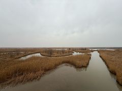 -盐城丹顶鹤湿地生态旅游区