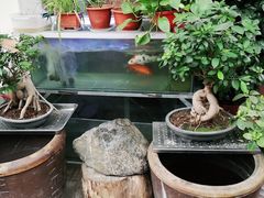 -茗香居(环城南路店)