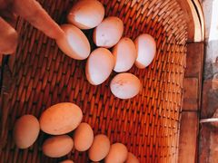 -鱼窝棚柴火铁锅炖(富山屯店)