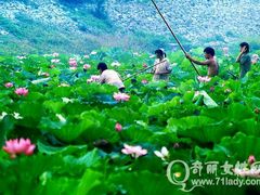 -王顺山国家森林公园