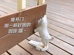 -爱樂咖啡(青年体育公园店)