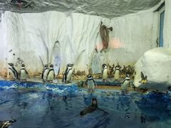 -太平洋海底世界