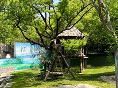 -上海野生动物园