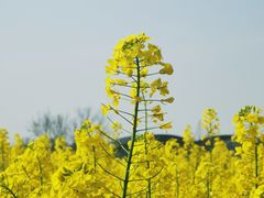 -中国天府农业博览园