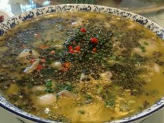 -老茶树骊园生态川菜馆