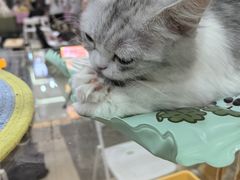 -宁波鄞州万达广场