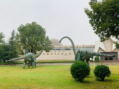 -西峡恐龙遗迹园