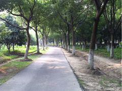 -昆山城市生态森林公园