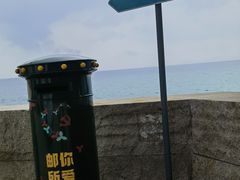 -杨梅坑