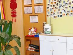 -猫十亿·布偶金渐层·曼基康矮脚猫舍(青年路店)