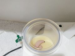 -自然之声助听器·呼吸机(贵定店)