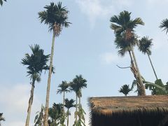 -海南槟榔谷黎苗文化旅游区