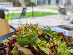 牛油果健康色拉-一尺花园(安和花园店)