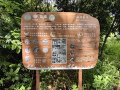 -华侨城湿地公园