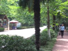 -菊花台公园