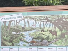 -七寨湖公园