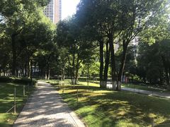 -重庆市江北嘴中央商务区中央公园