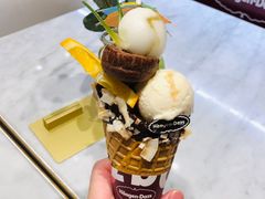 -哈根达斯(深圳海岸城店)