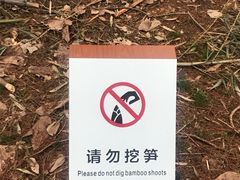 -同里国家湿地公园