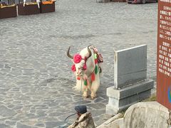 -日月山景区