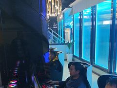 -绿树电竞(五路店)